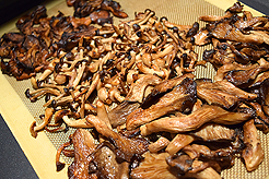 A NIGHT AT THE GRANDE